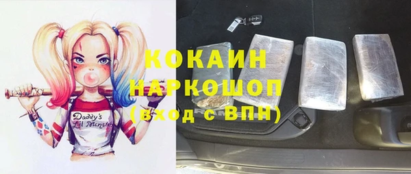 бошки Белокуриха