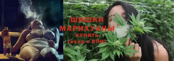бошки Белокуриха