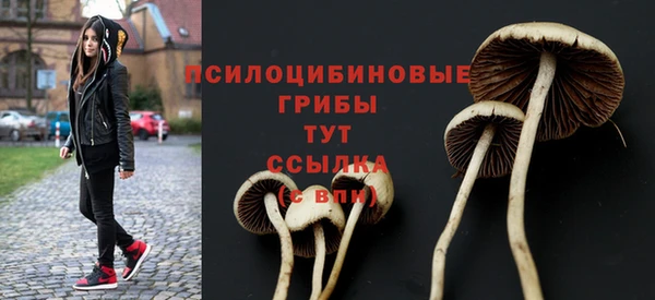 первитин Белоозёрский