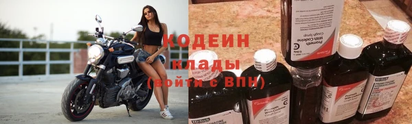 бошки Белокуриха