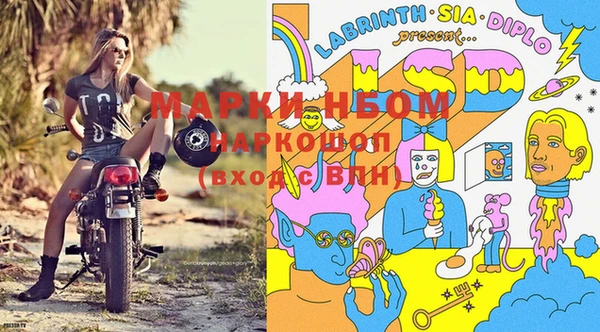 бошки Белокуриха